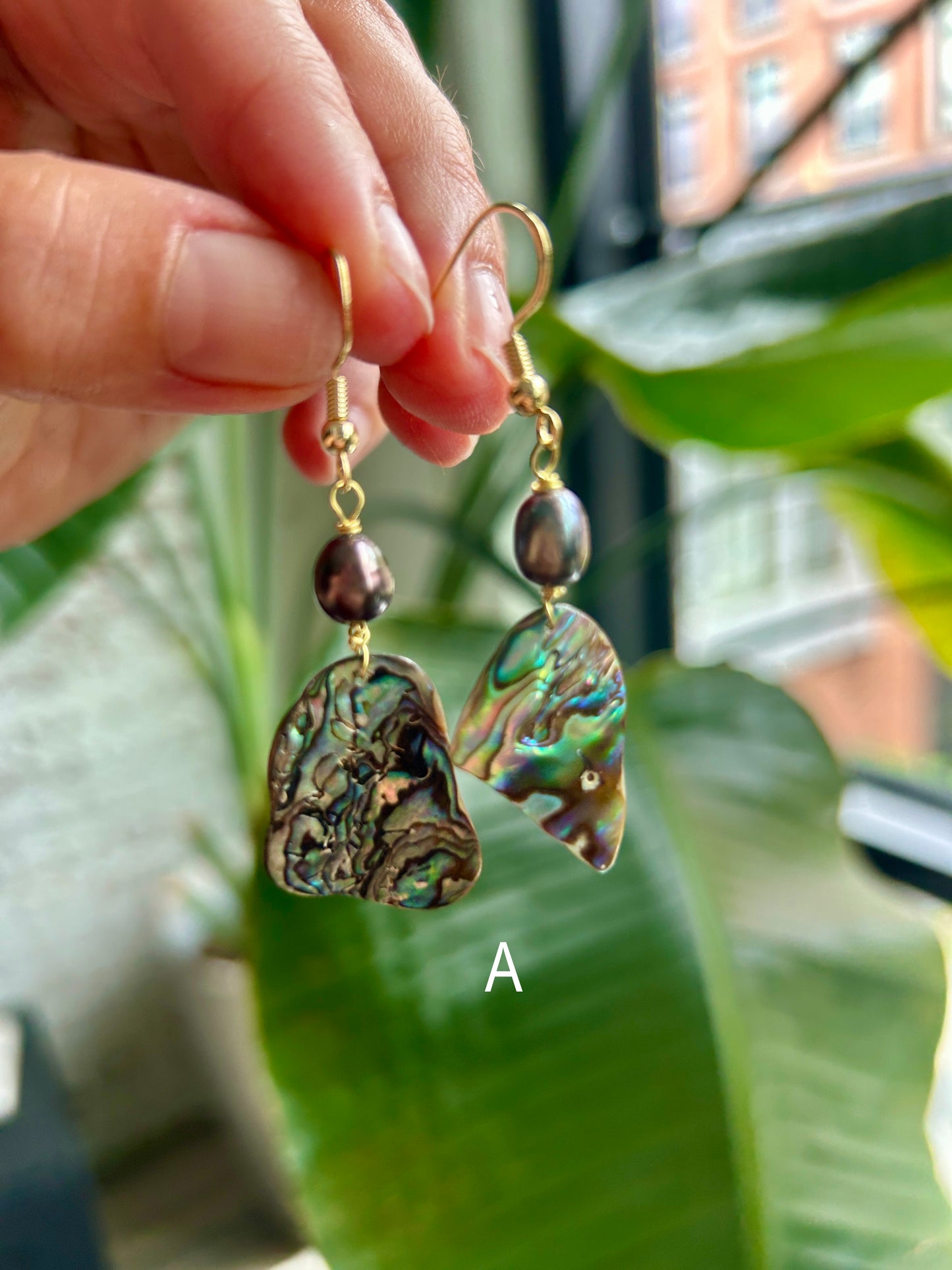 Pāua - Hanging Earrings