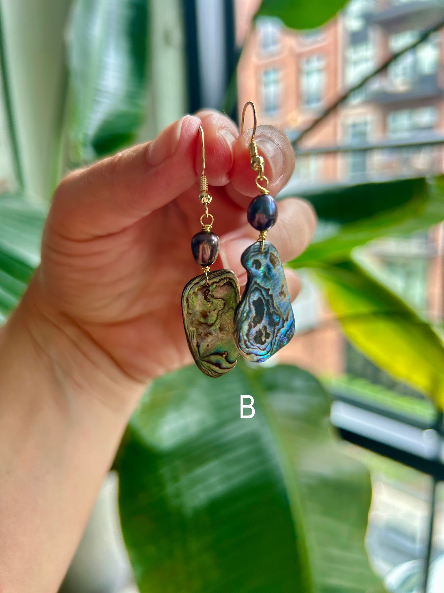 Pāua - Hanging Earrings
