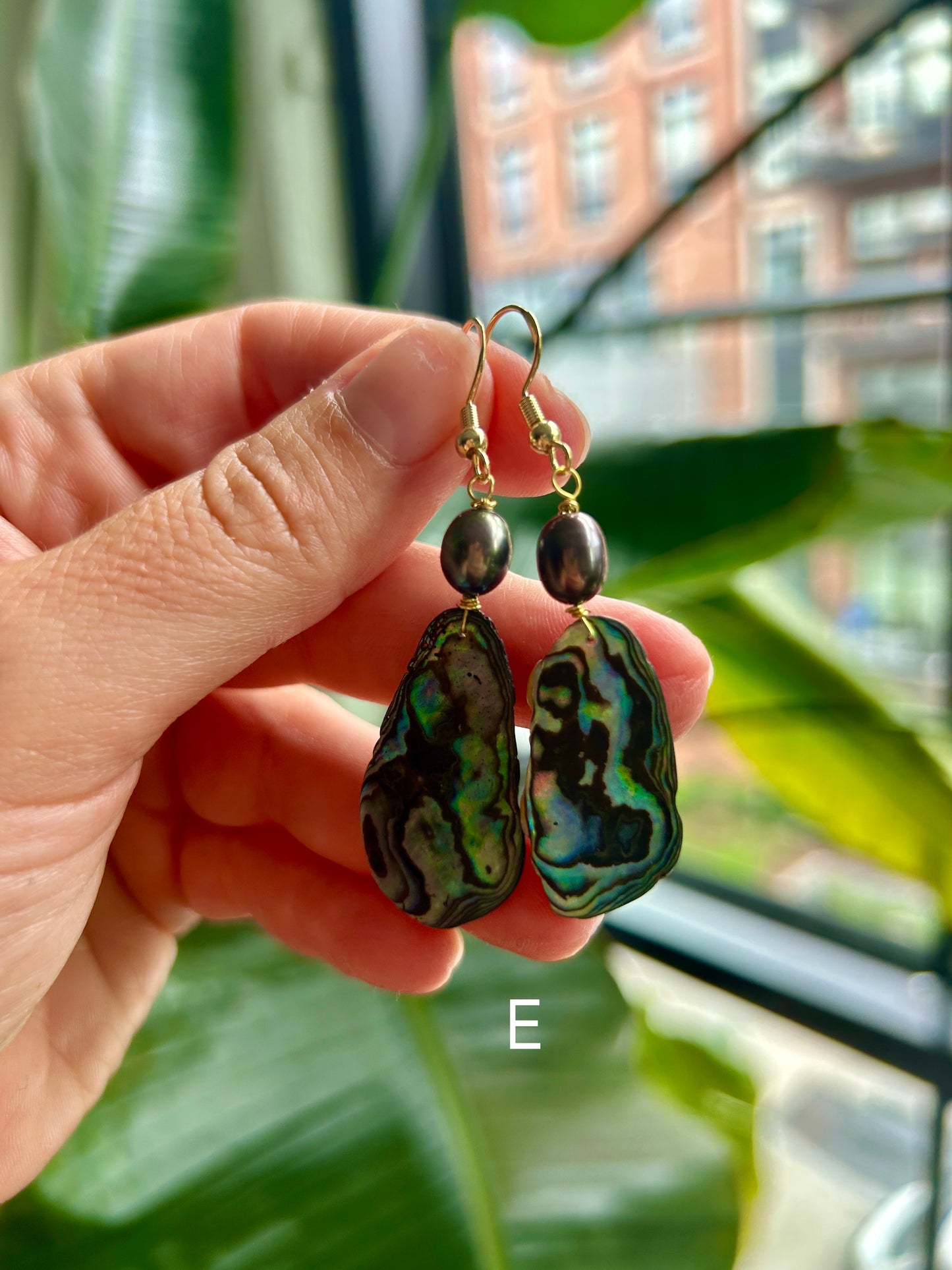 Pāua - Hanging Earrings