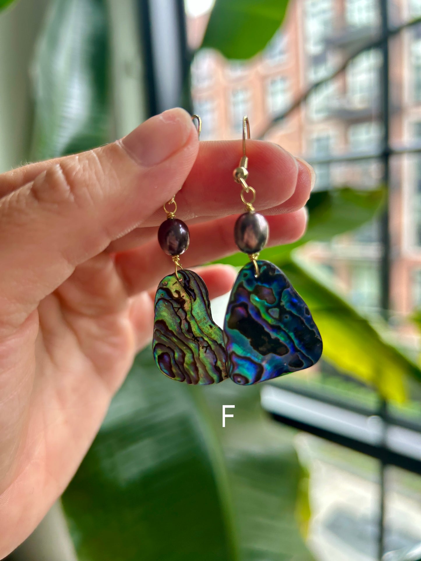Pāua - Hanging Earrings