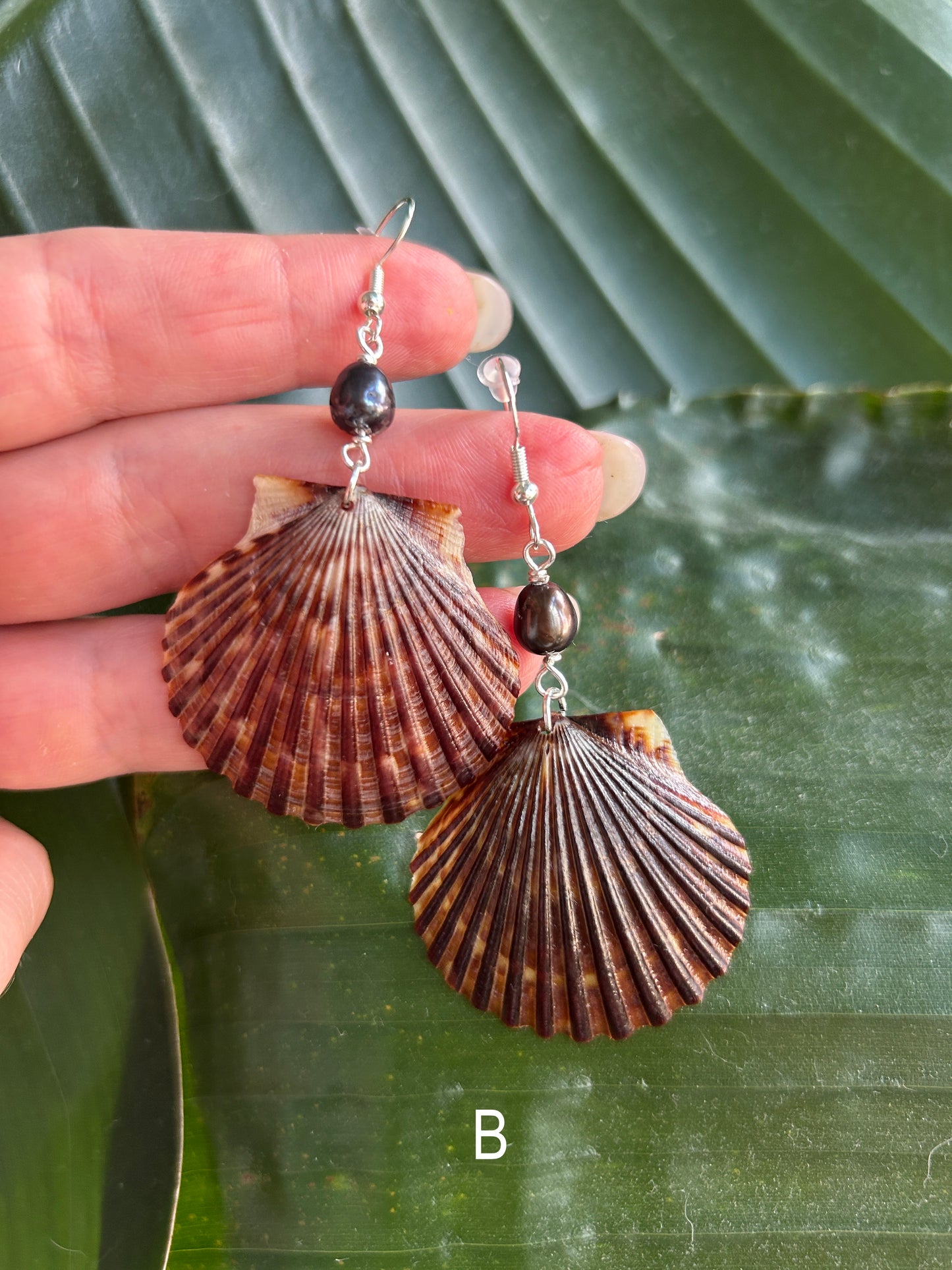 Abyssal - Black Scallop - Fall Collection