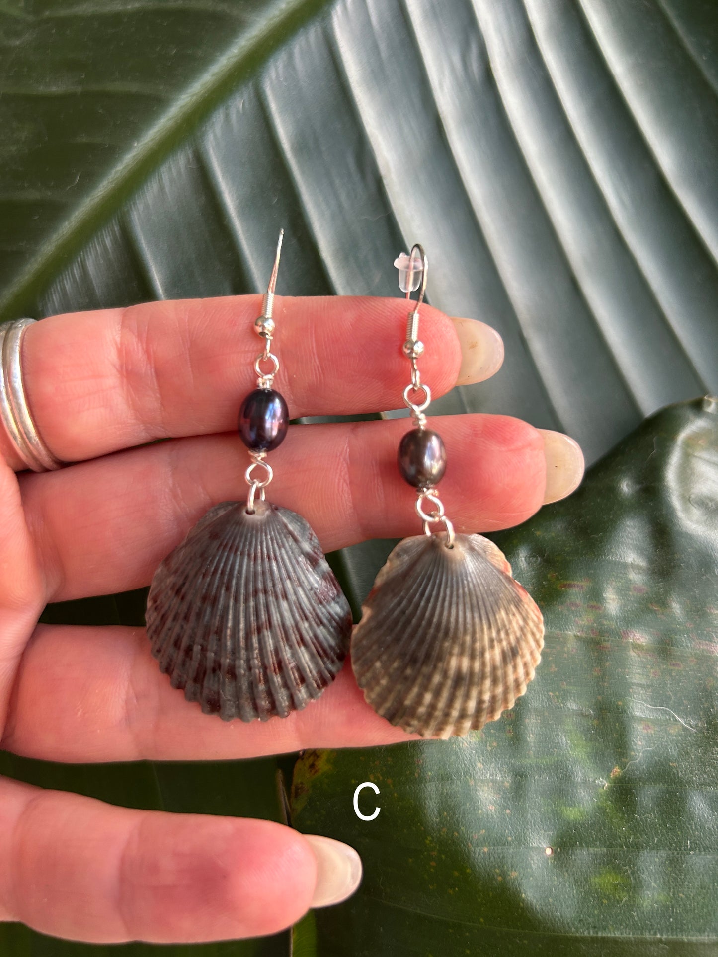 Abyssal - Black Scallop - Fall Collection