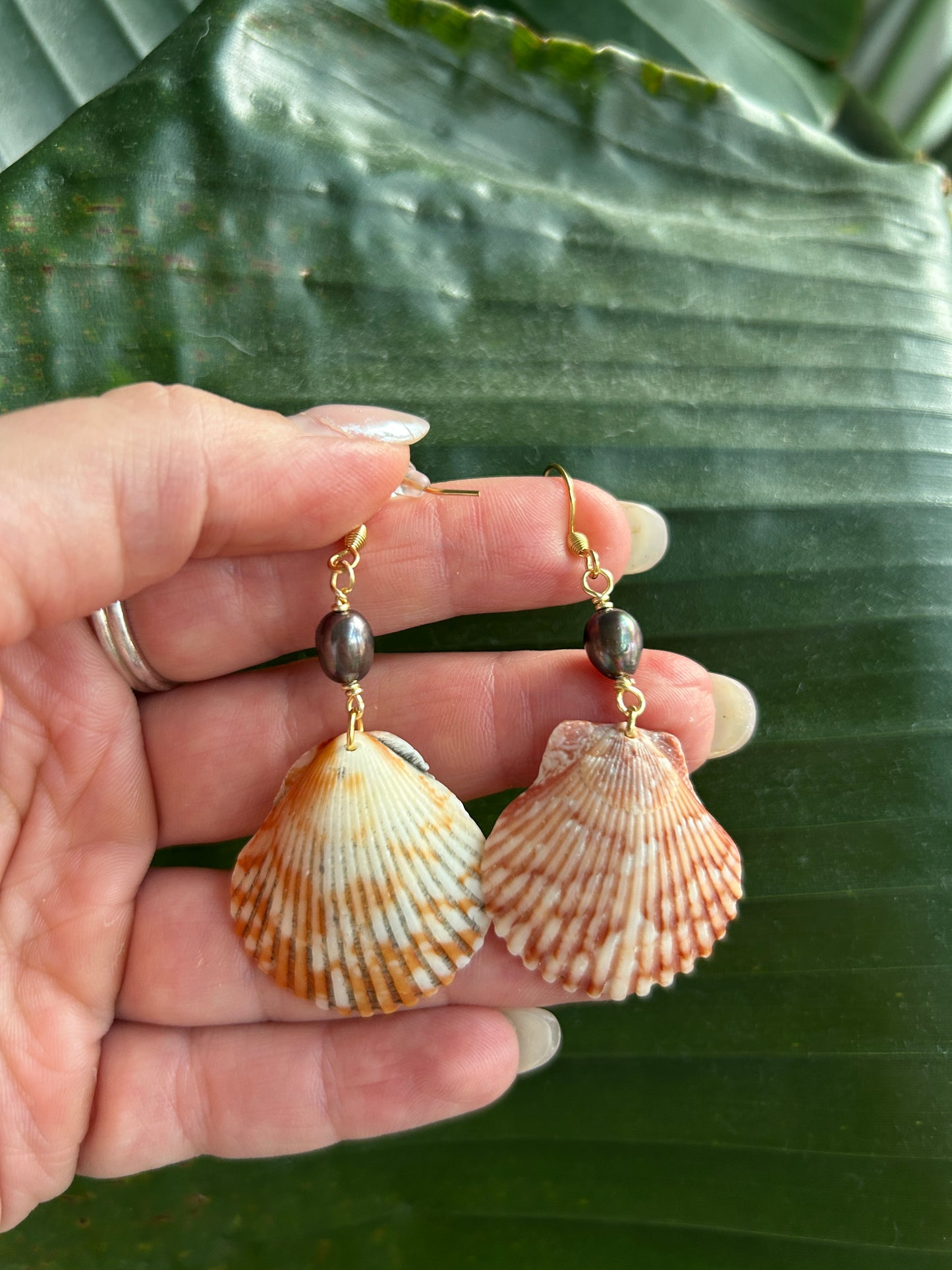 Classic Scallop - Dangling Earrings