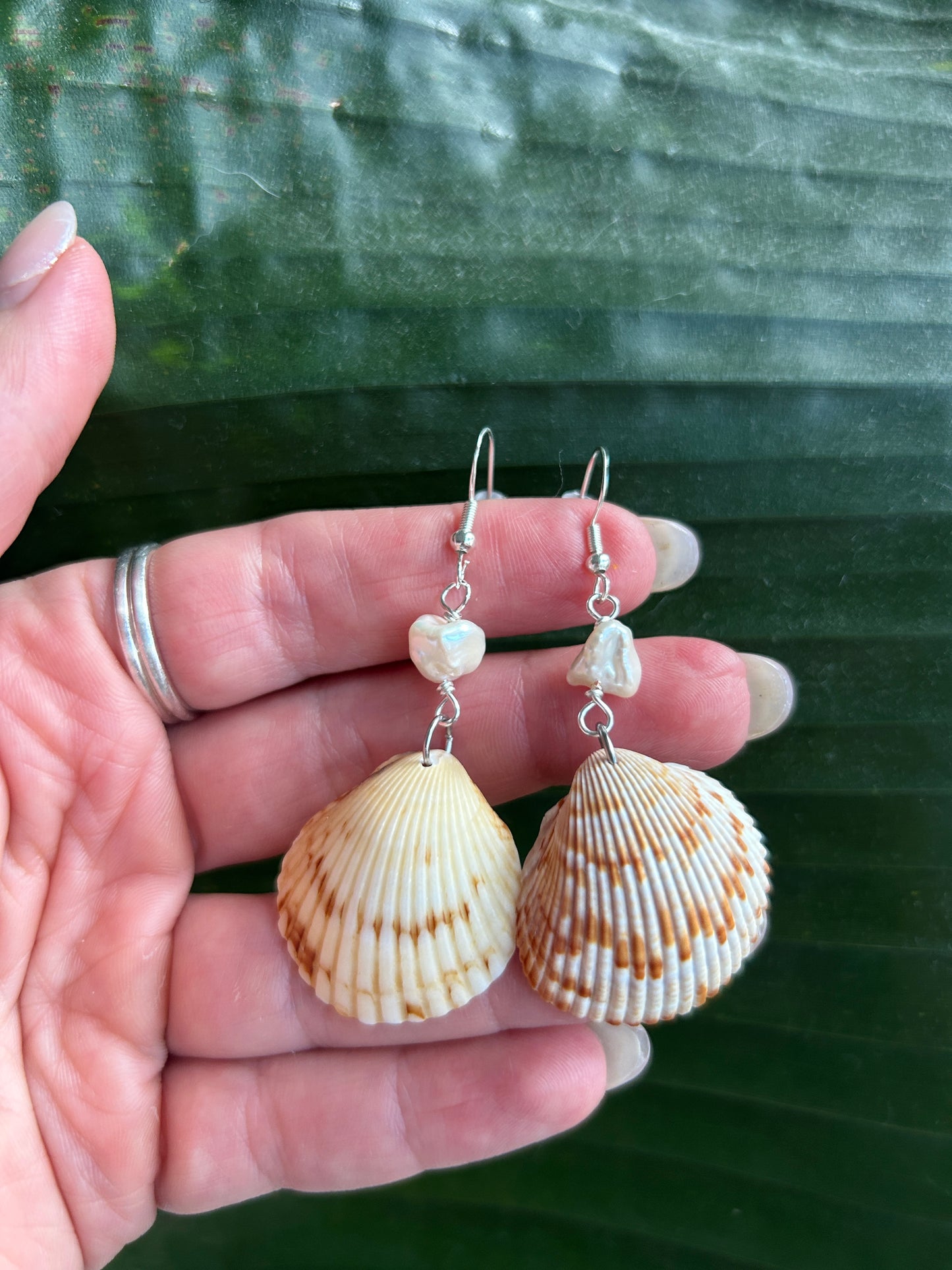 Classic Scallop - Dangling Earrings