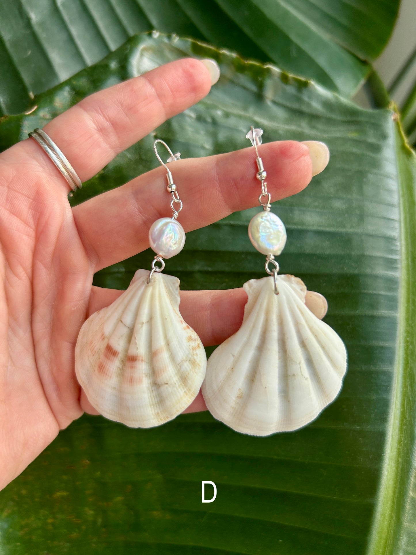 Lion's paw Scallop - Dangling earrings