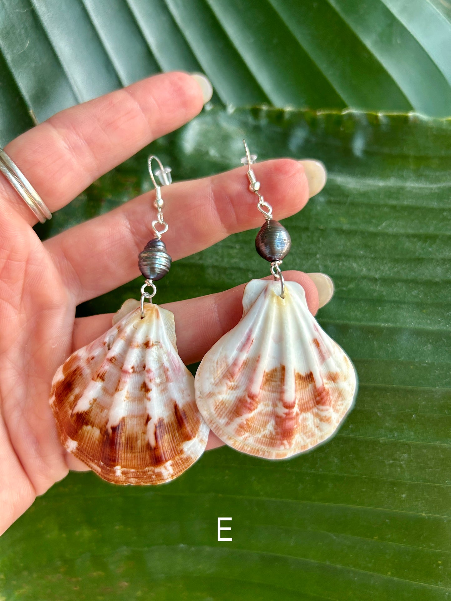 Lion's paw Scallop - Dangling earrings