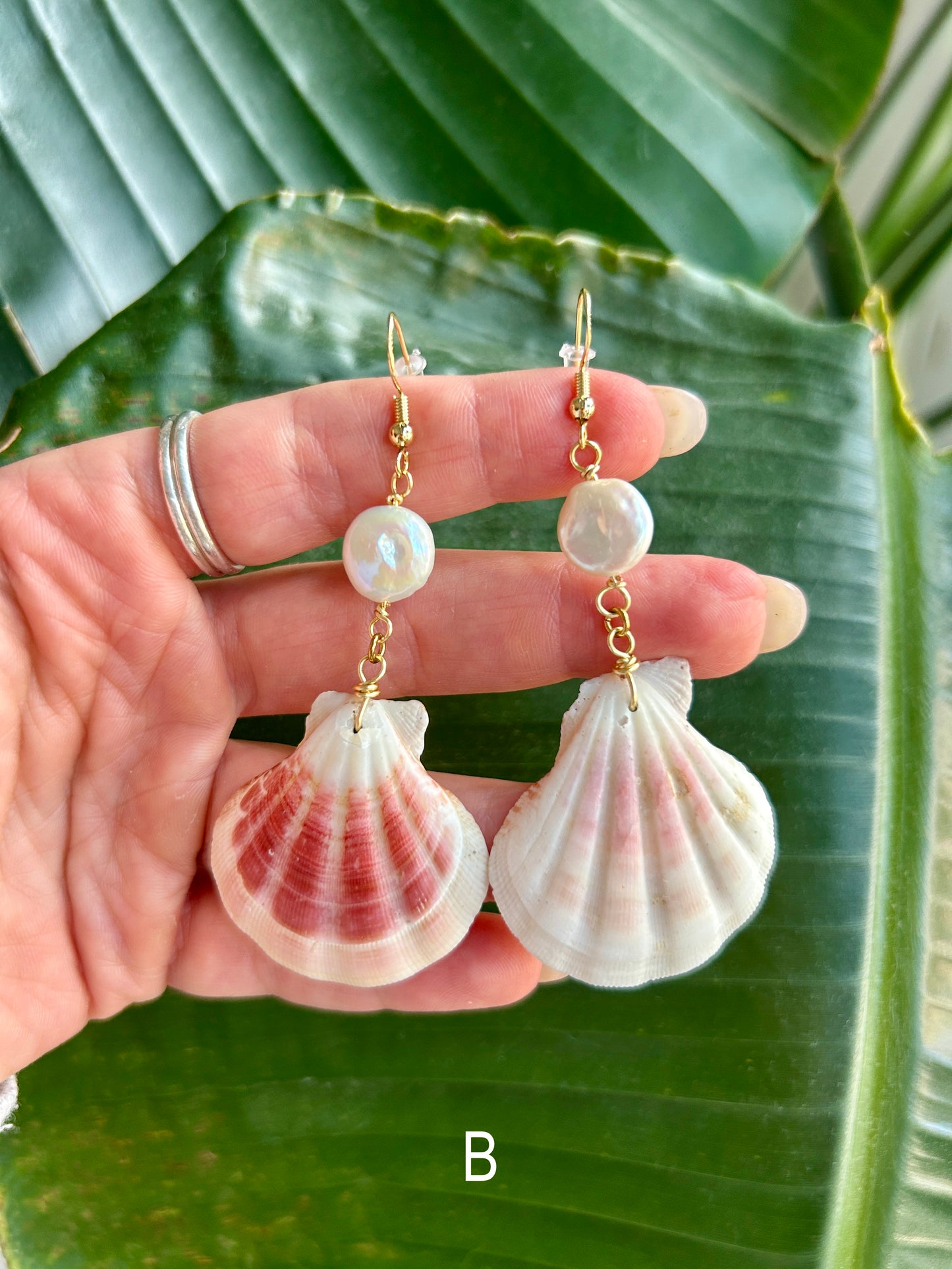 Lion's paw Scallop - Dangling earrings