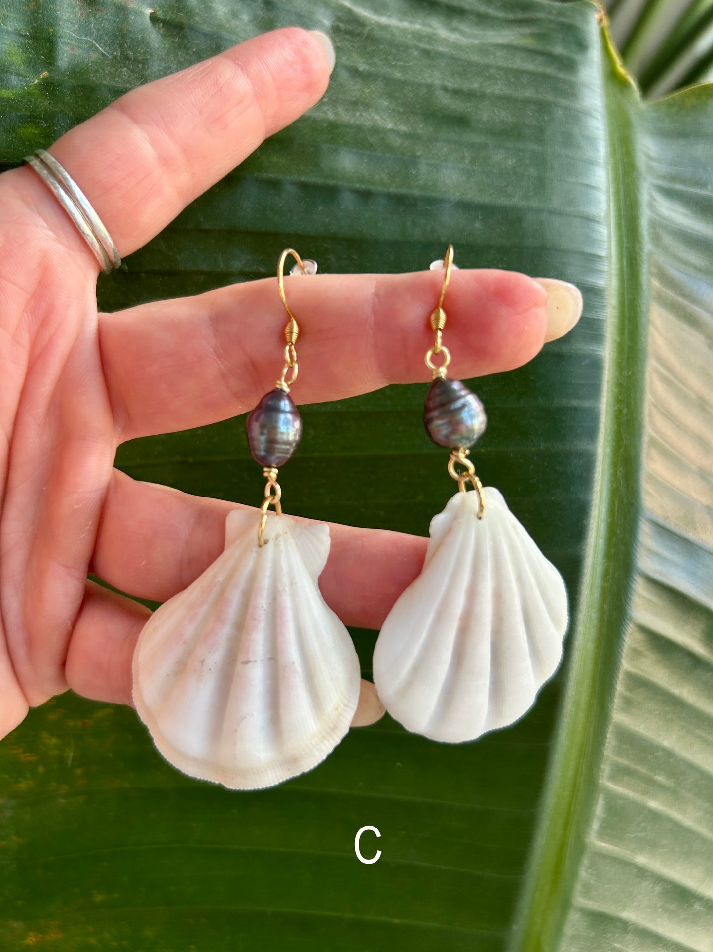 Lion's paw Scallop - Dangling earrings