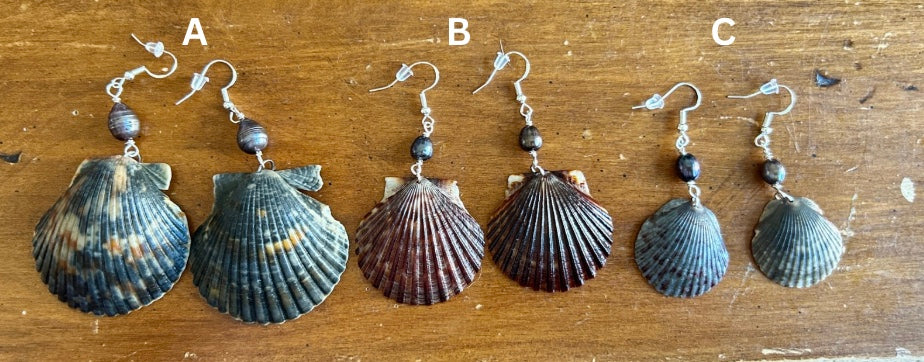 Abyssal - Black Scallop - Fall Collection