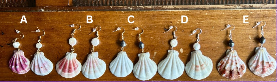 Lion's paw Scallop - Dangling earrings