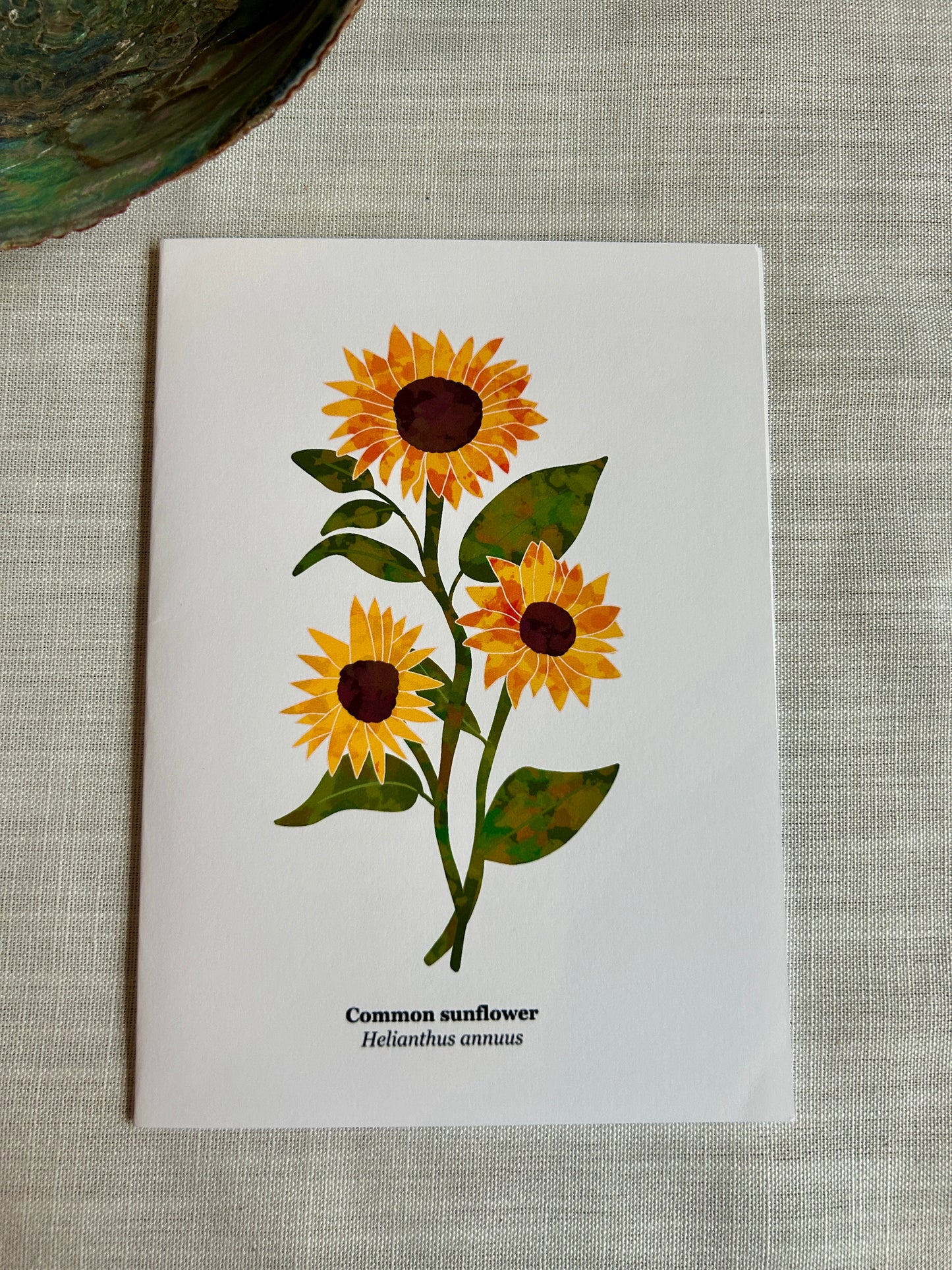 Sunflower Blank Greeting Card - Botanical Art Card 5x7