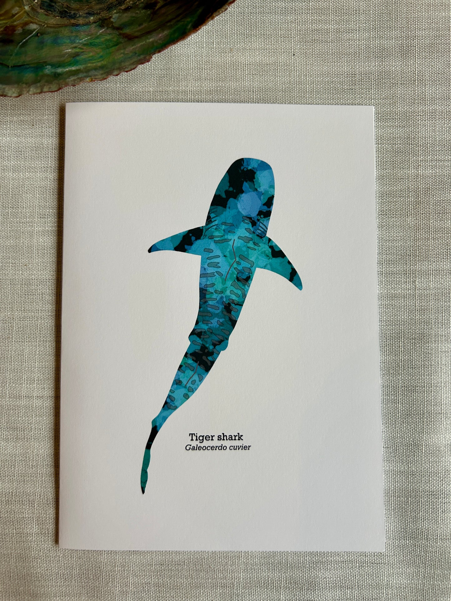 Tiger Shark Greeting Card – Ocean Wildlife Art Card 5x7