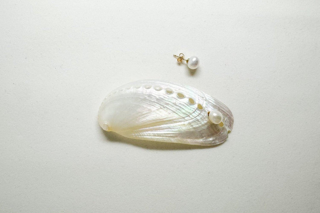 Is Shell Jewelry Sustainable? A Complete Guide