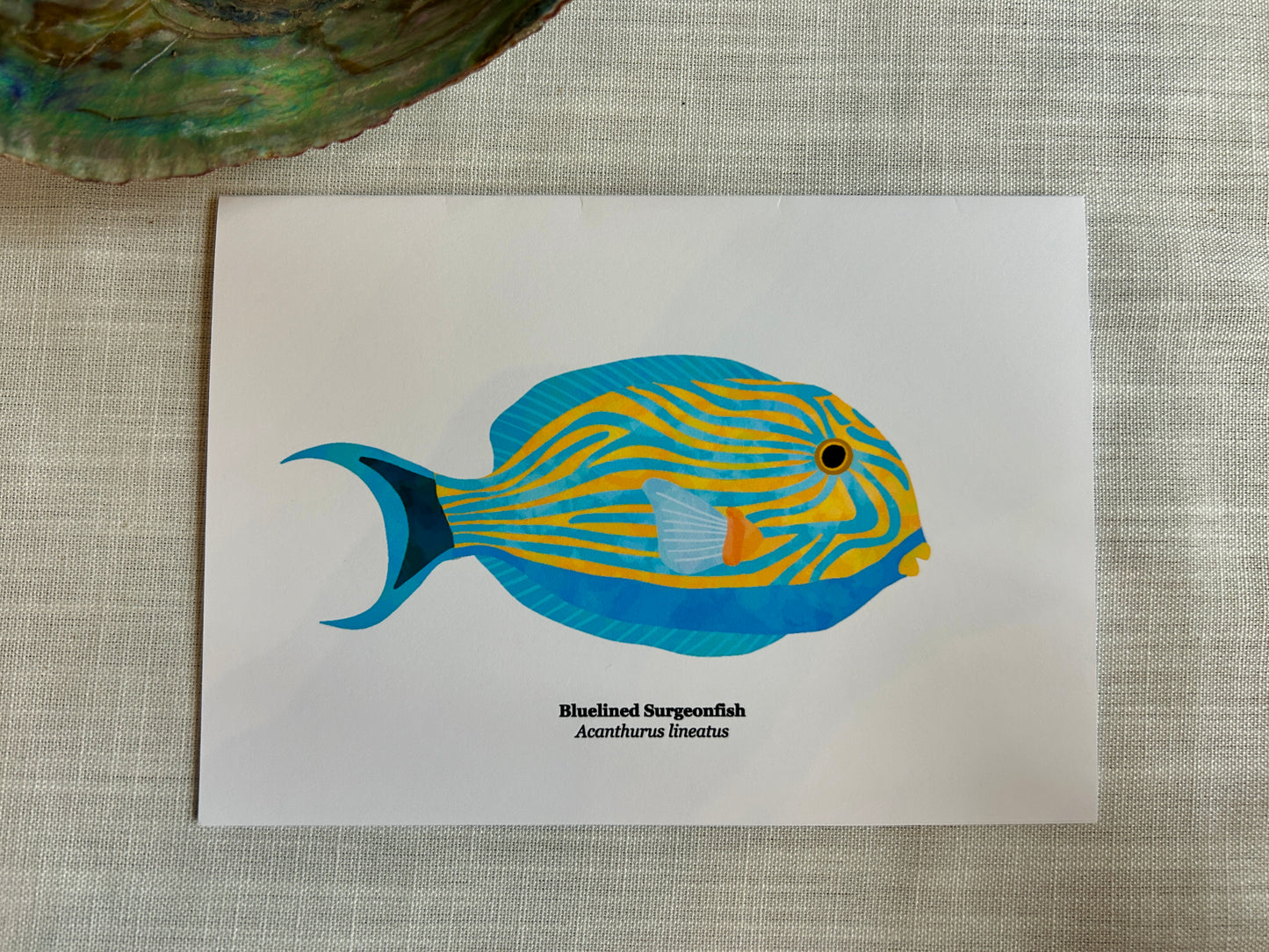 Bluelined Surgeonfish Greeting Card - Tropical Reef Fish Art Print 5x7