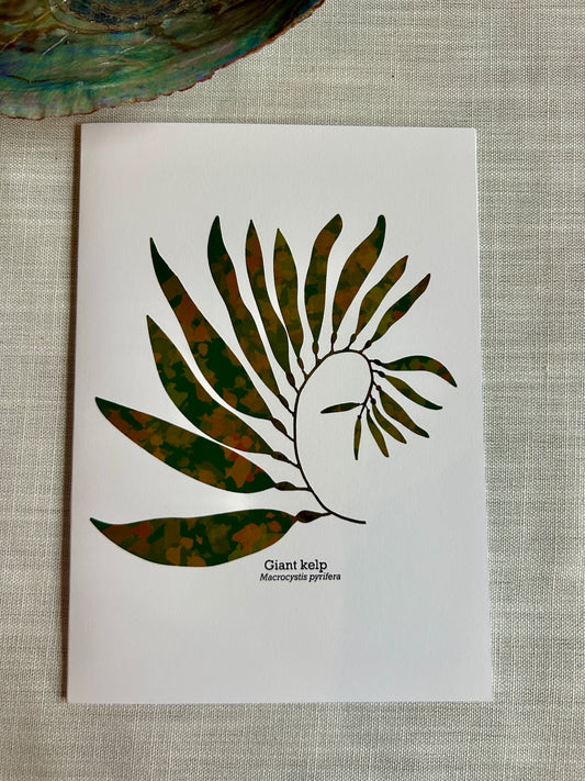 Giant Kelp Greeting Card – Coastal Botanical Art Card 5x7