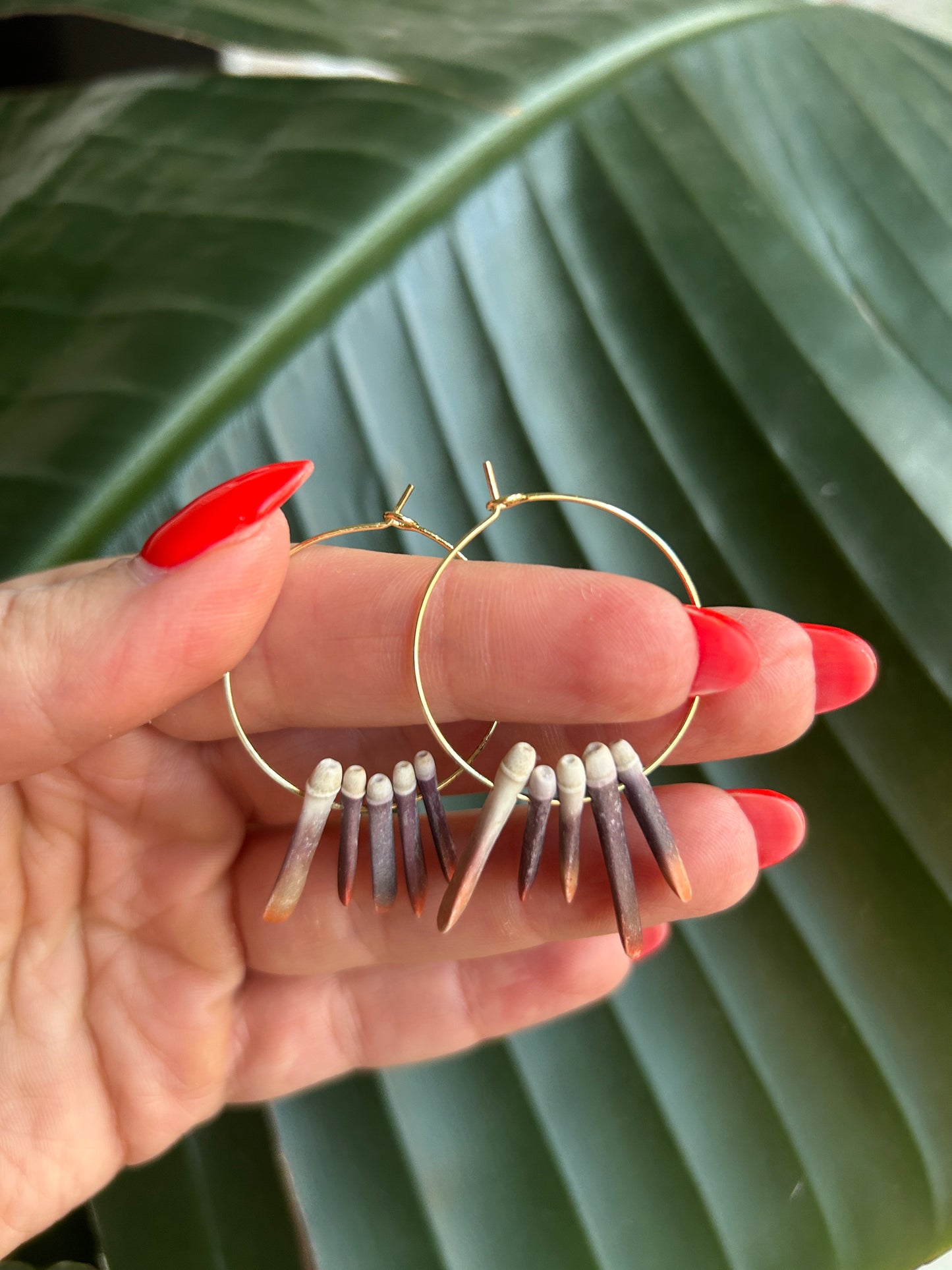 Urchin Spine Hoops