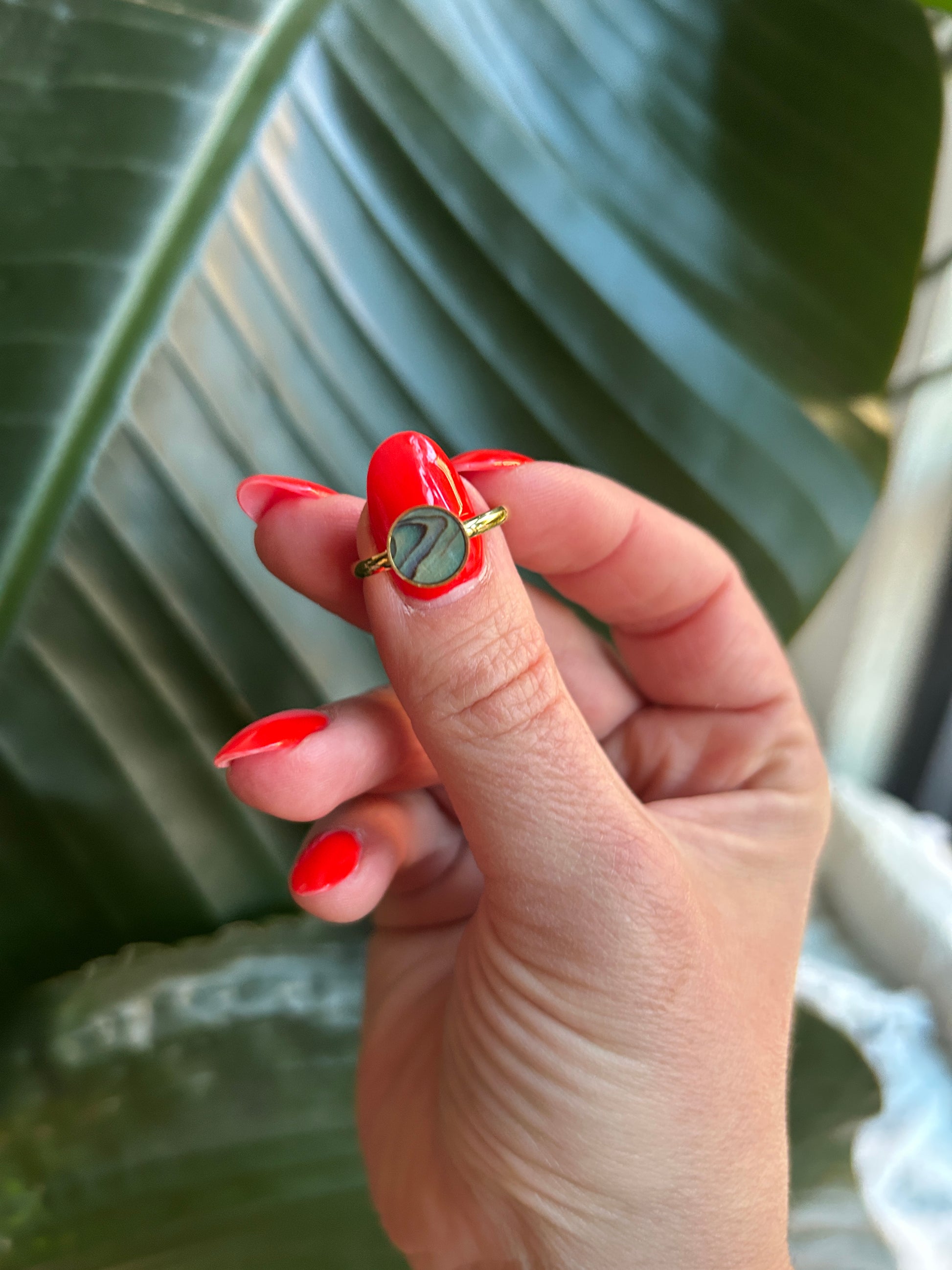 Hand holding a small abalone ring with a blurred green leaf background
