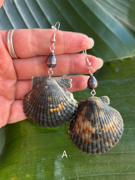 Abyssal - Black Scallop - Fall Collection