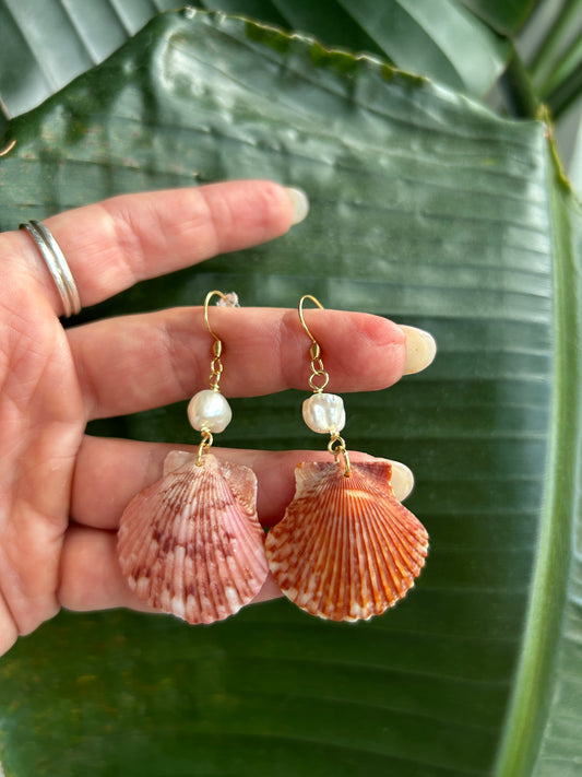 Classic Scallop - Dangling Earrings
