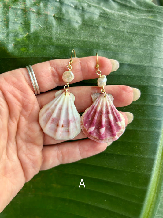 Lion's paw Scallop - Dangling earrings