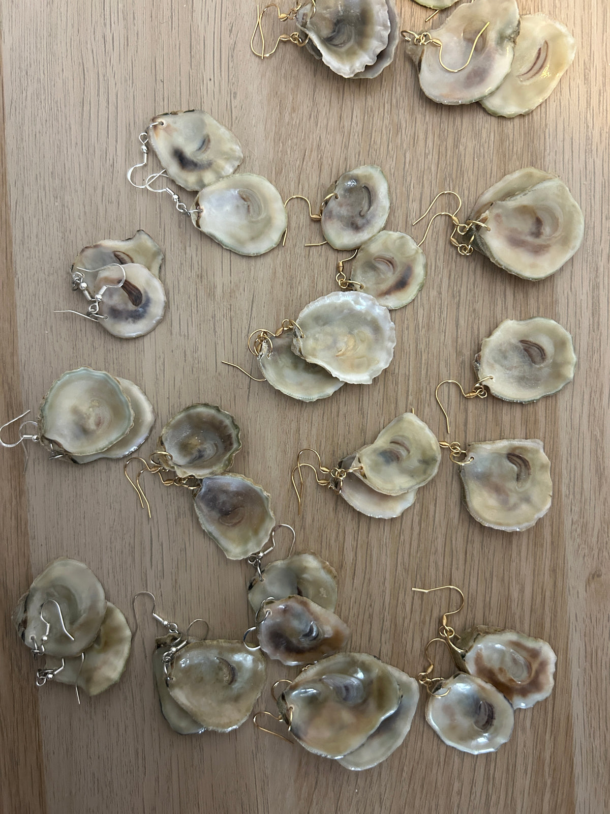 Olympia oyster earrings