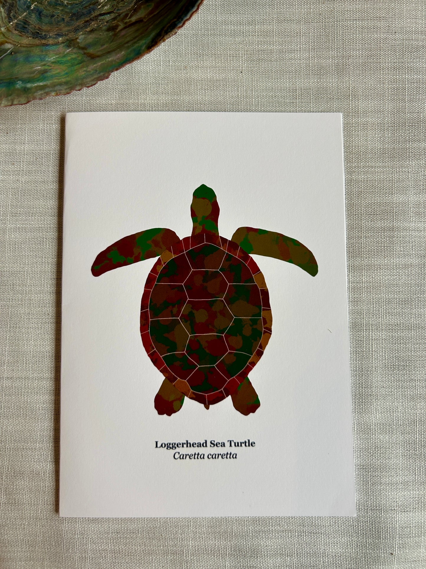 Loggerhead Sea Turtle - Marine Life Art Print Card 5x7
