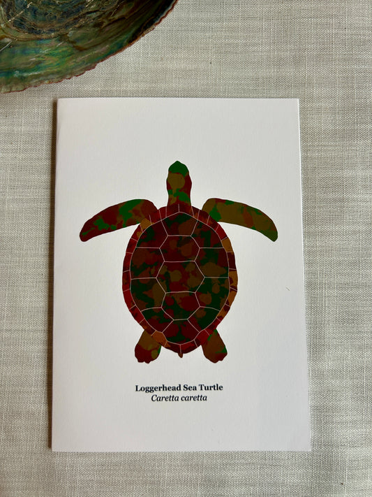 Loggerhead Sea Turtle - Marine Life Art Print Card 5x7