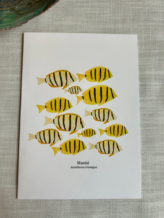 Convict Tang Greeting Card – Tropical Fish Art Card 5x7