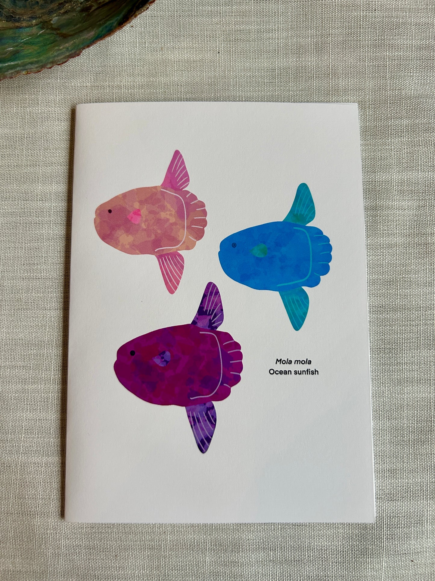 Ocean Sunfish Greeting Card – Mola Mola Marine Life Art 5x7