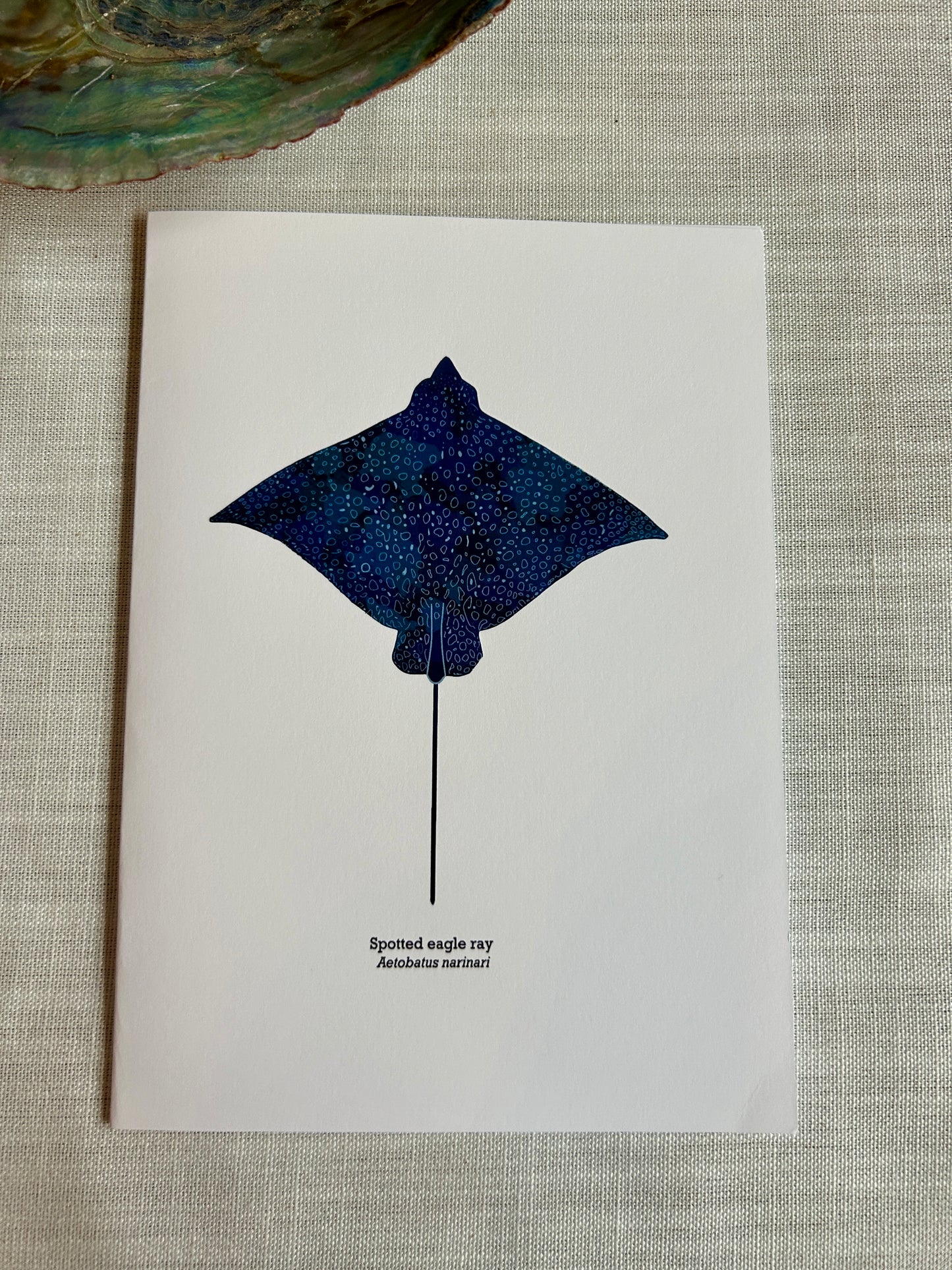Spotted Eagle Ray Greeting Card – Ocean Wildlife Art Card 5x7