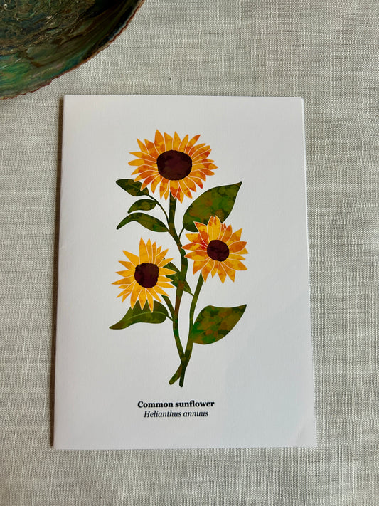 Sunflower Blank Greeting Card - Botanical Art Card 5x7