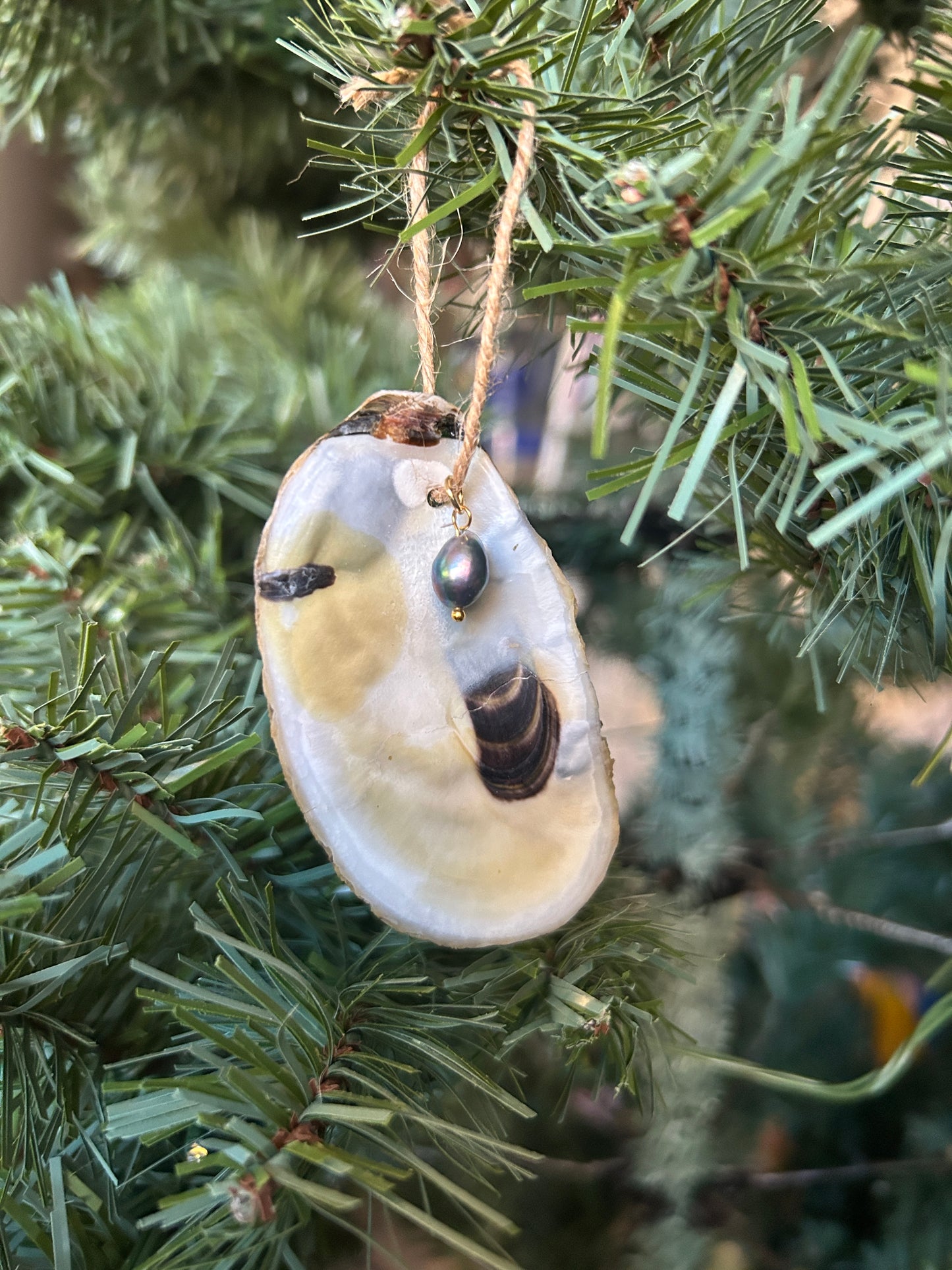 Recycled Oyster Ornaments