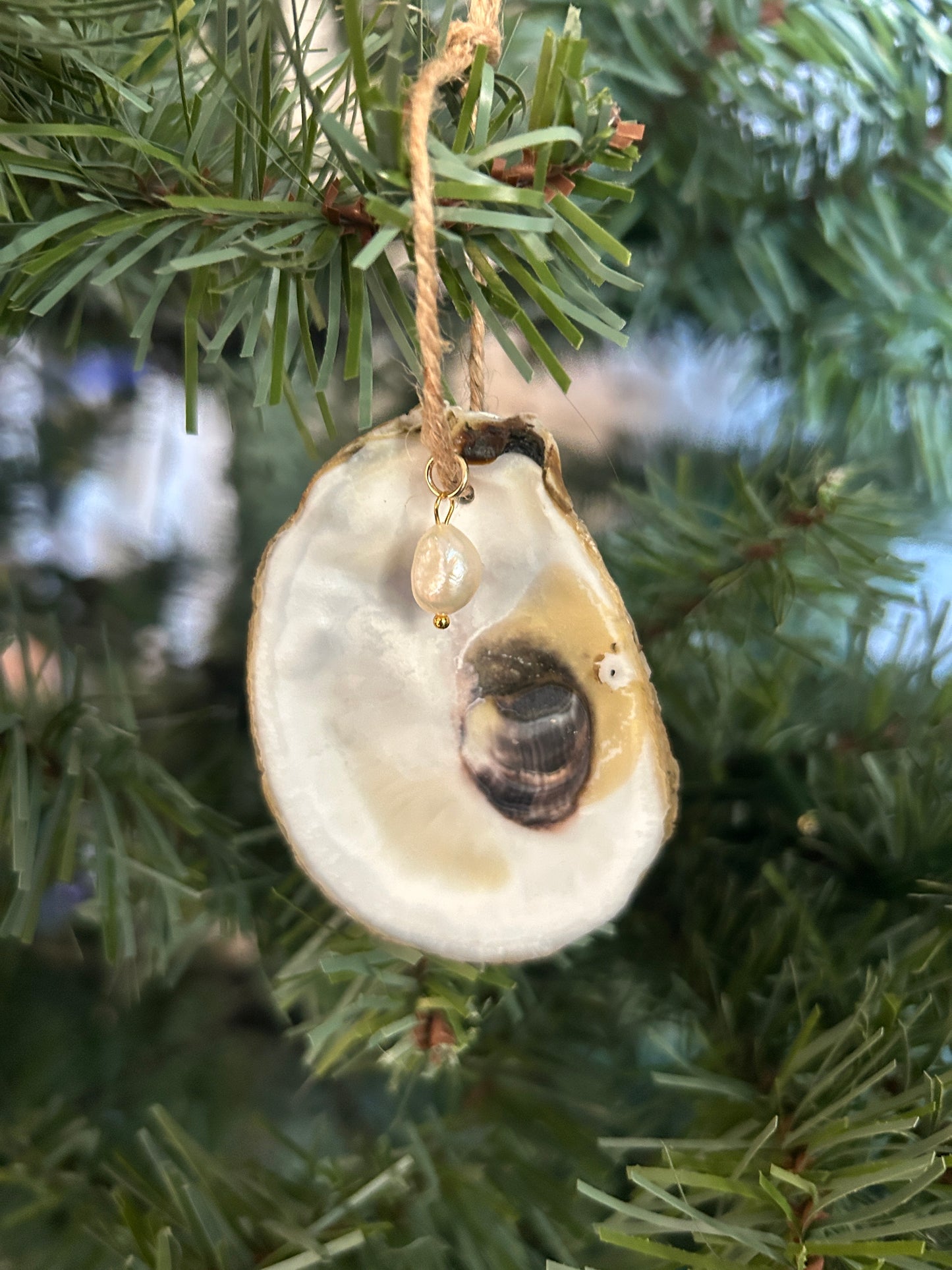 Recycled Oyster Ornaments